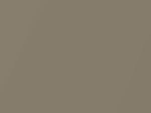 Mercedes-Benz Beige Gray Metallic touch up paint 7-728 1970 All Models