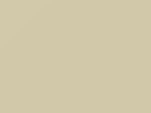 Ermine White touch-up paint for Capri, code ABP, B, 1972