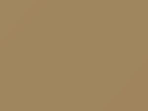 Sierra Sand touch-up paint for Chrysler, code AAY1L1, R, 1968