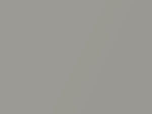 Satellite Pearl Metallic touch-up paint for Toyota, code 1388, 1970