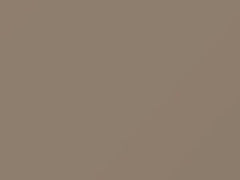 Light Heather Gray touch-up paint for Chrysler, code AY69TD2, TD2, 1981