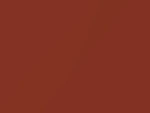 BMW Chestnut Red Metallic touch up paint 157 1980 All Models