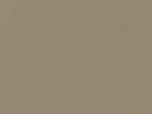 Gobi Beige Metallic touch-up paint for Audi, code LY1V, 1984