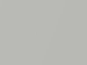 Mist Silver Metallic touch-up paint for Amc, code 2A, 1987