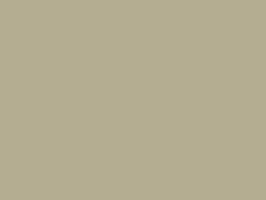Mercedes-Benz Pastel White touch up paint 131 1975 All Models