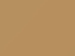 Morocco Buff touch-up paint for Amc, code 9N, 1979