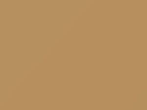 Morocco Buff touch-up paint for Amc, code 9N, 1979