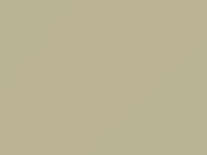 White touch-up paint for Dodge, code DT1263, VAE1W1, W, 1971