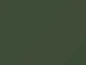 Willow Green touch-up paint for Jaguar, code 1688, 404, 1969