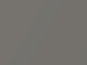 Gray Metallic touch-up paint for Toyota Tercel, code 165, 1988