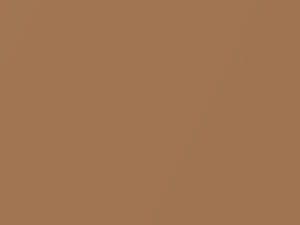 Nougat Tan Metallic touch-up paint for Volvo, code 144, 1981