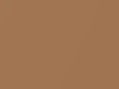 Nougat Tan Metallic touch-up paint for Volvo, code 144, 1981