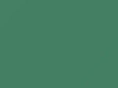 Gem Green touch-up paint for Amc, code P6253, 1964