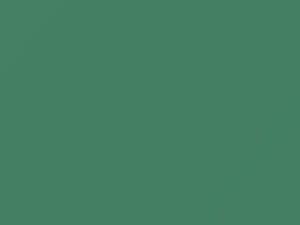 Gem Green touch-up paint for Amc, code P6253, 1964