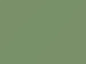 Birch Green touch-up paint for Volkswagen, code L511, 1963