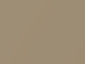 Sand Metallic touch-up paint for Dodge Dakota, code DT6640, PY3, 1991