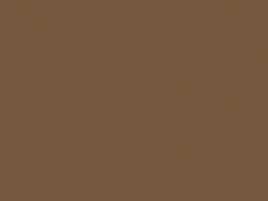 Bronze Metallic touch-up paint for Fiat, code 798, 1975