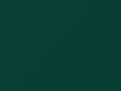 Polo Green touch-up paint for Amc, code P75, 1956