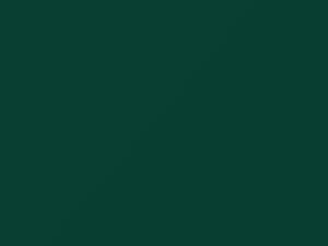 Polo Green touch-up paint for Amc, code P75, 1956