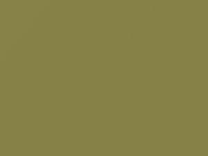 Green Apple touch-up paint for Jeep, code 561, 1975