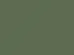 Palisade Green touch-up paint for Ford, code M14341, 1951