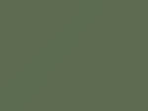 Palisade Green touch-up paint for Ford, code M14341, 1951
