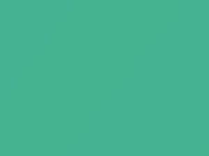 Florida Green touch-up paint for Austin Rover, code GN1, 1965
