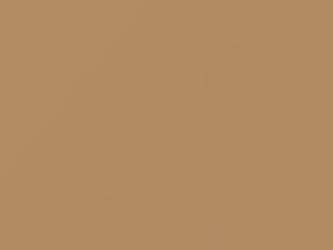 Cameo Beige touch-up paint for Datsun, code 928, 1983