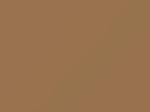 Mojave Beige touch-up paint for Volvo, code 1221, 1978