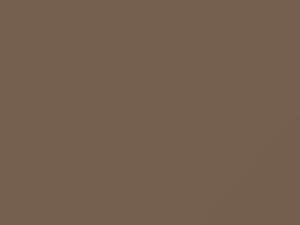 Cameo Beige touch-up paint for Saab, code 161B, 1981