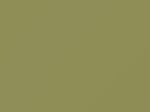 Beryl Green touch-up paint for Volkswagen, code L478, 1962
