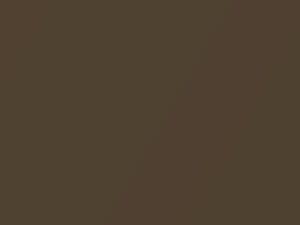 Burnished Brown Metallic touch-up paint for Amc, code B2, 1971