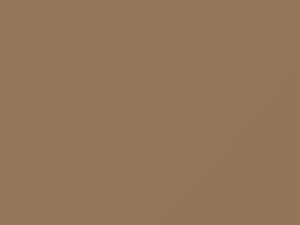 Desert Beige touch-up paint for Datsun, code 131, 1985
