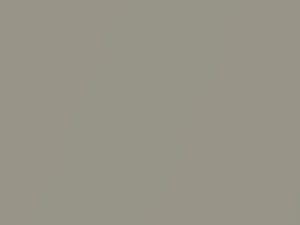 Bronze Metallic touch-up paint for Datsun, code 531, 534, 1968