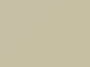 Eggshell/Off White touch-up paint for Datsun, code 637, 1974