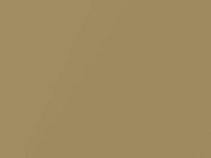 Grampian Gold Metallic touch-up paint for Toyota, code 405, 443, 1973