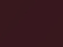 Deep Burgundy Metallic touch-up paint for Dodge, code 001, C6052YS, 1960