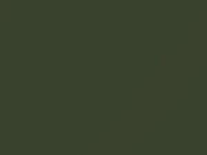 Mercedes-Benz Green touch up paint 860 1975 All Models