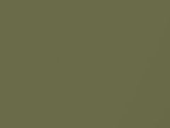 Willow Green Metallic touch-up paint for Amc, code P75, 1969