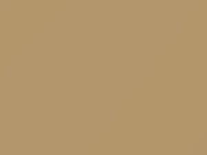 Navaho Beige touch-up paint for Dodge, code CAY1T1, X, 1968