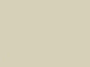 Polar White touch-up paint for Datsun, code 216, 1979