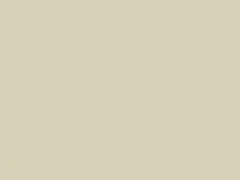 Polar White touch-up paint for Datsun, code 216, 1979