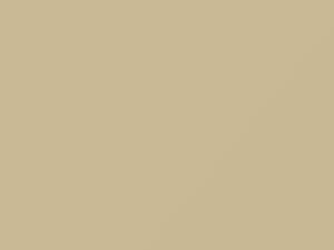 Maltese White/Old English White touch-up paint for Austin Rover, code WT3, 1966
