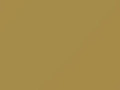 Mercedes-Benz Maple Yellow touch up paint 1-606 1979 All Models