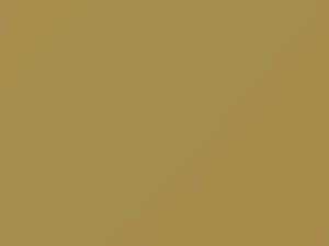 Mercedes-Benz Maple Yellow touch up paint 1-606 1975 All Models