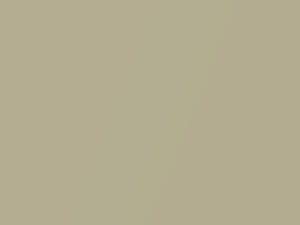 Marlin Silver Metallic touch-up paint for Amc, code P14A, 1966