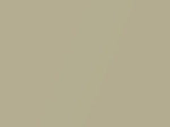 Marlin Silver Metallic touch-up paint for Amc, code P14A, 1965