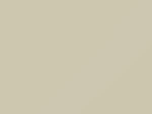 Polar White touch-up paint for Chrysler, code DAY1W1, W, 1968