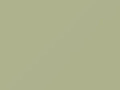 Crescent Green touch-up paint for Amc, code P17A, 1966