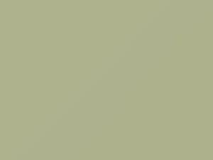 Crescent Green touch-up paint for Amc, code P17A, 1966